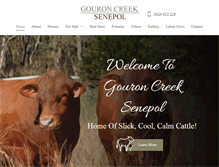 Tablet Screenshot of gouroncreeksenepol.com.au